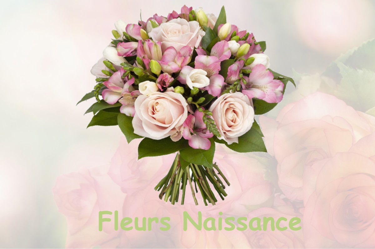 fleurs naissance ARGELOUSE