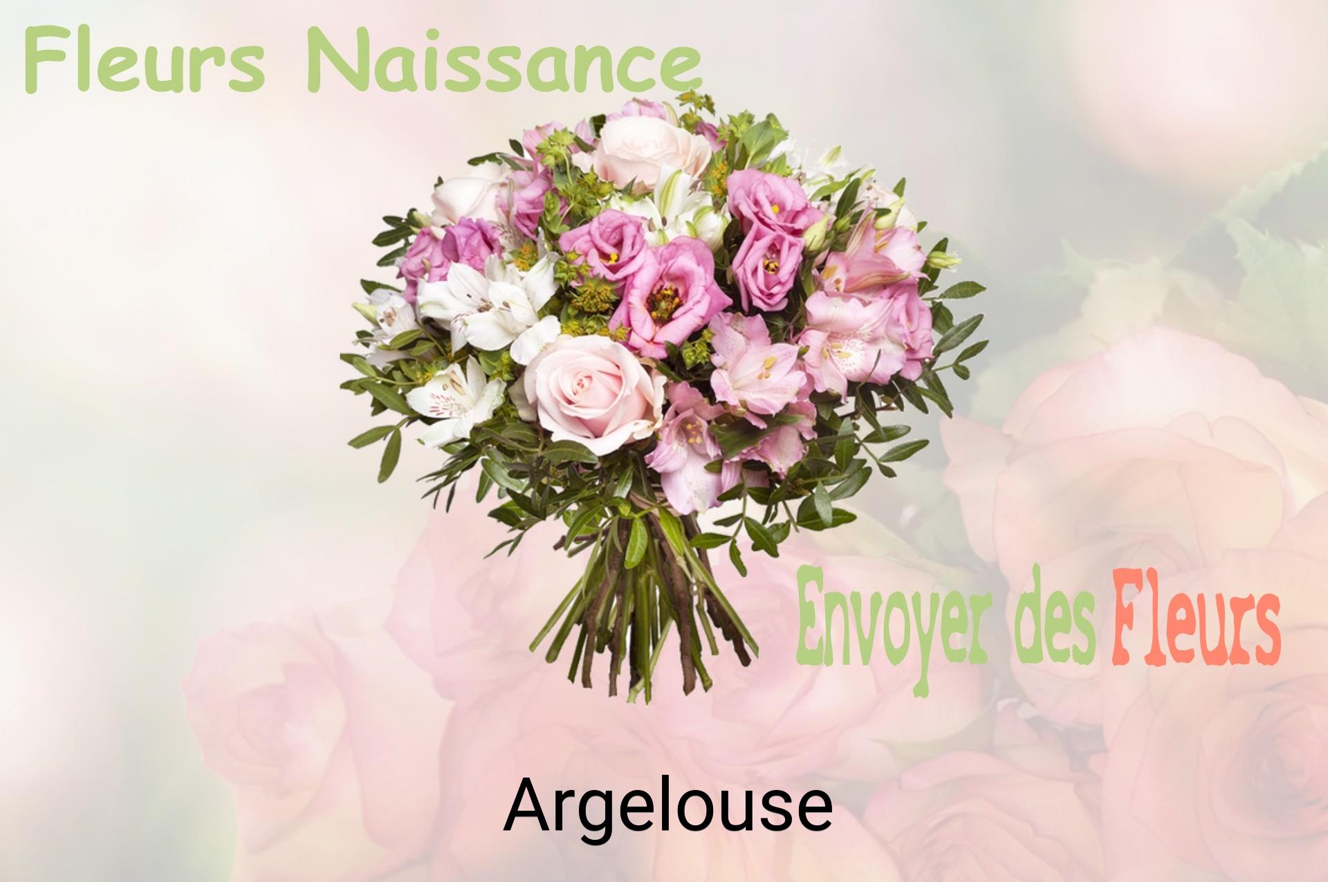 Bouquet de fleurs de naissance livré à Argelouse