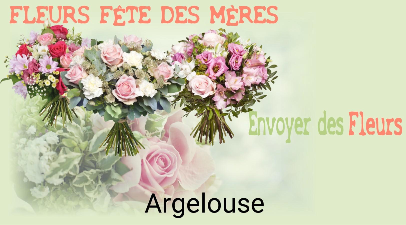 Bouquet de Fête des Mères livré à Argelouse